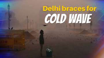 Delhi Cold wave condition to start from tomorrow