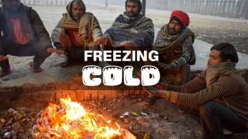 North India shivers! Don't expect respite from bone-chilling cold for a week