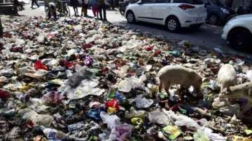 Andhra govt suspends panchyat commissioner over dumping of garbage in front of banks