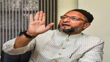 asaduddin owaisi, aimim, mp local body polls, madhya pradesh municipal corporation polls