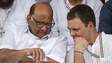 sharad pawar, rahul gandhi 