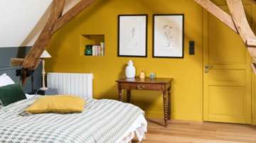 Vastu Tips: Is yellow color auspicious for southeast direction or not?