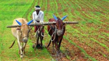 Kisan Diwas 2020: Wishes, quotes, HD Images, WhatsApp and Facebook status to share on National Farme