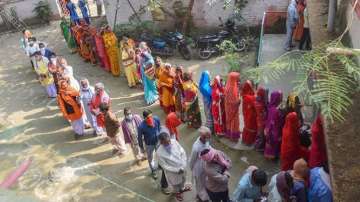 Rajasthan ULB polls 