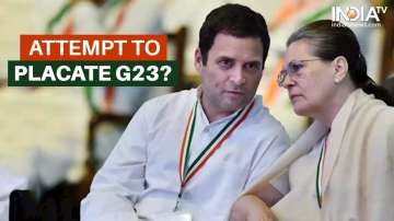 Sonia gandhi meeting G23, G23 meeting, G23 dissenters meeting, sonia gandhi rahul gandhi meeting, so