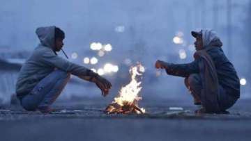 Icy winds sweep Delhi, 'cold wave' predicted for 2 days: IMD