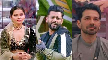 Bigg Boss 14 Jan 19 LIVE UPDATES: Rubina Dilaik, Abhinav Shukla to be at loggerheads with Rahul Vaid