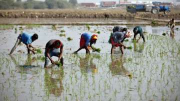 Budget 2021: Rural poor, farmers' progress to be govt's priority