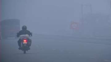 Cold wave sweeps north India, IMD predicts light rainfall in Delhi today 