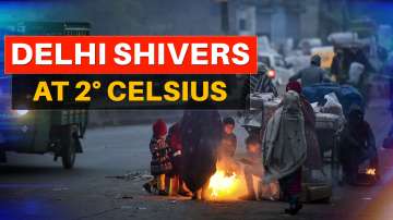 delhi winter, delhi temperature 