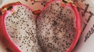 Dragon fruit gets a new name 'kamalam,' hilarious 'naamkaran' of other fruits & vegetables follow