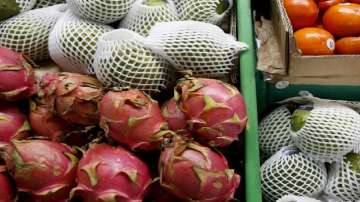 Gujarat govt renames 'dragon fruit' as kamalam