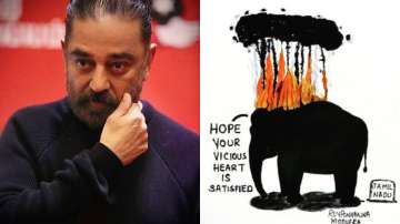 elephant death by burning tyre celebrities reaction