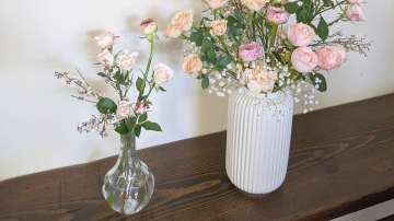 Vastu Tips: Do not keep these types of flowers in the house to avoid bad luck
