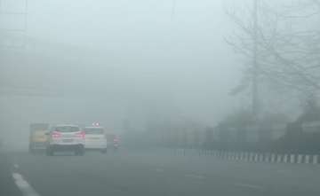 Dense fog shrouds Delhi