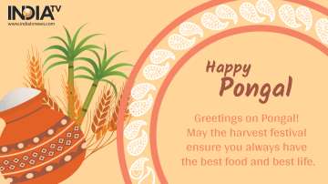 happy Pongal 2021: Wishes, Quotes, Facebook, WhatsApp messages, Greetings, SMS, HD images and GIFs