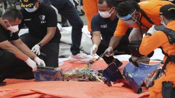 Indonesia's crashed plane likely ruptured when hitting waters: Chief investigator