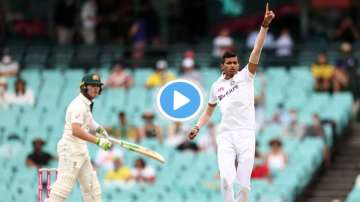 navdeep saini, will pucovski, india vs australia, ind vs aus 2020, india vs australia 2020