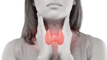 Know your thyroid glands and how to take care of them
