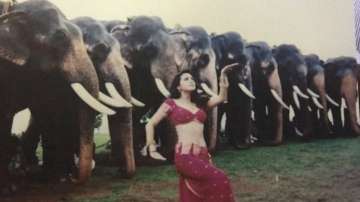 Dancing with tuskers on 'Jiya Jale': Preity Zinta's favourite picture from Dil Se