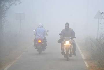 north india fog
