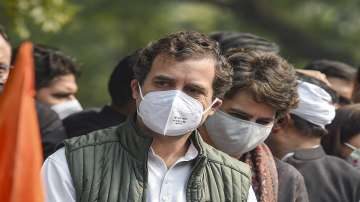 Congress leaders Rahul Gandhi and Priyanka Gandhi Vadra along with party workers.