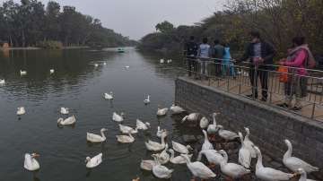 Bird flu alert Delhi