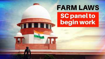 farm laws, farmers protest 