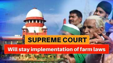 farm laws supreme court hearing