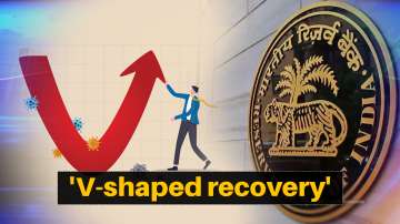 India within striking distance of attaining positive growth: RBI