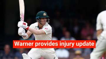 david warner, india vs australia, aus vs ind, aus vs ind 2020