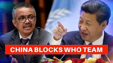 china blocks who team 