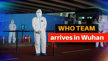 WHO team arrives in Wuhan 