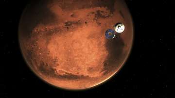 Microbes from Earth could temporarily survive on Mars: Study 