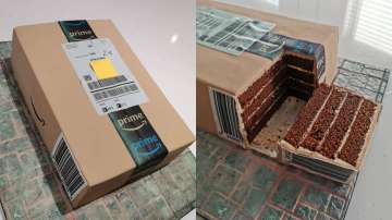 Cake or Amazon package? What are these viral pictures all about?