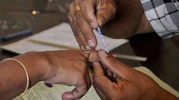 Andhra Pradesh panchayat polls