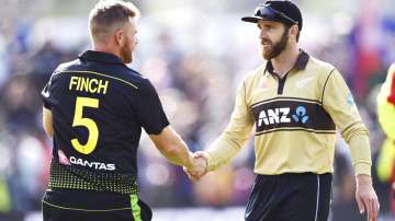 Aaron Finch and Kane Williamson