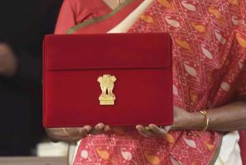 Rs 3,726 crore allocated for forthcoming Census: Sitharaman