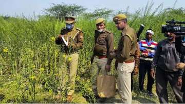 Unnao victim, Unnao victim latest news, Unnao victim ventilator, Unnao victim health updates, Unnao 