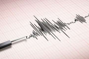 4.8 magnitude earthquake jolts Sikkim, no causality