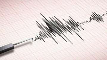 Strong earthquake shakes Kashmir as people run out of homes