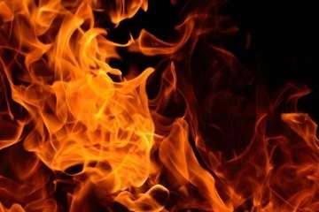 Fire breaks out at Eco Retreat facility in Odisha