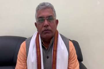 Mamata Banerjee's condition like a cat, not 'Royal Bengal Tiger': Dilip Ghosh
