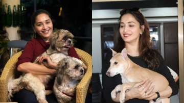 Madhuri Dixit's latest post proves she is true 'puppy lover' | see pics