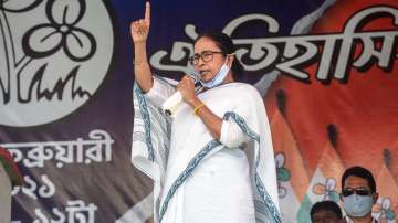 bengal polls 2021, mamata banerjee royal bengal tiger 