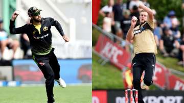 glenn maxwell, kyle jamieson, australia vs new zealand, aus vs nz, rcb