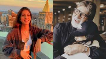 Navya Nanda to join family business, Big B lauds her 'Project Naveli'