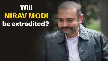 nirav modi case 