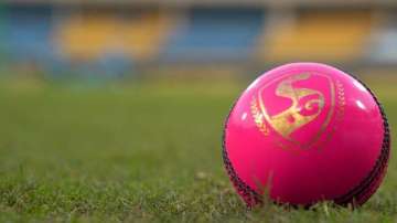 The SG Pink Ball
