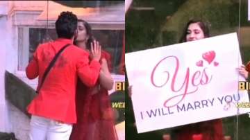 Disha Parmar finally answers Rahul Vaidya on marriage proposal in Bigg Boss 14